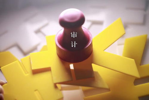 挑選審計報告翻譯服務(wù)的關(guān)鍵要點
